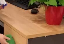 辦公區(qū)域保潔要做哪些呢？