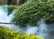 四害消殺完成后，需要做哪些鞏固工作呢？